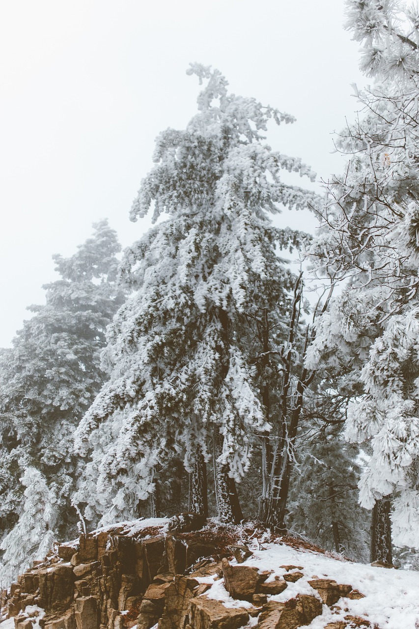 大暴雪有雪，冬日奇观与应对策略