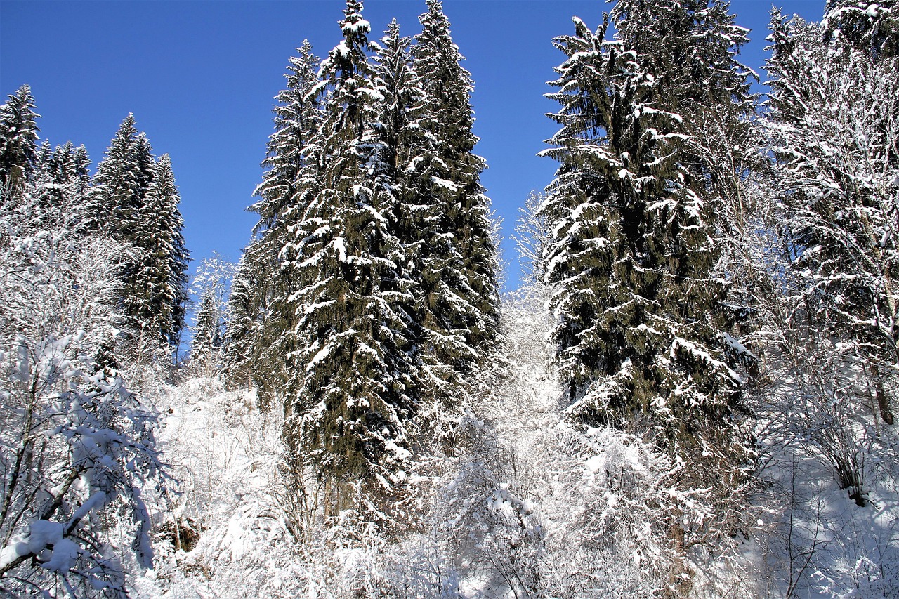 大范围降雪降温即将来临，我们该如何应对？