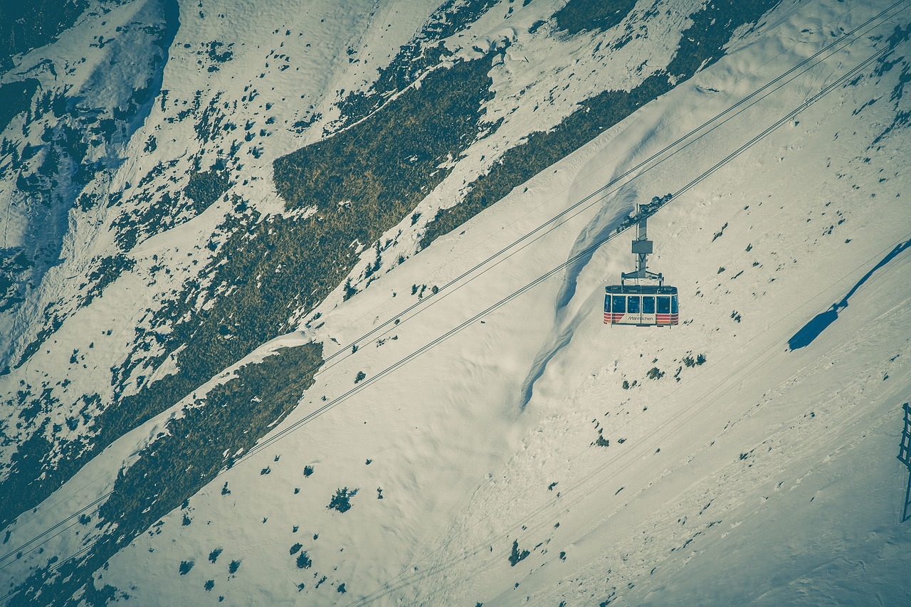 东北雪景，一场发紫的雪舞盛宴