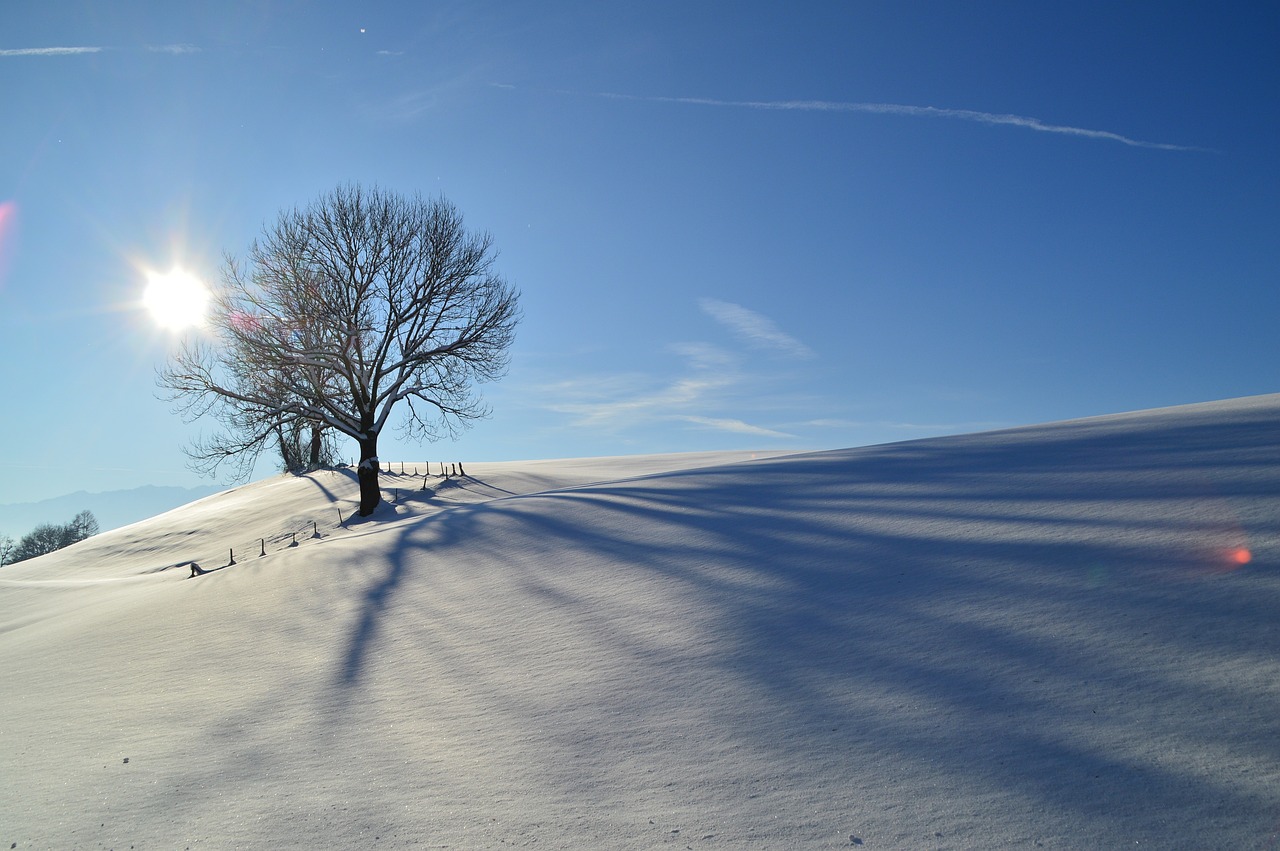 降雪可能超过30厘米，美国东北部部分地区发布冬季风暴警告